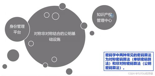 物聯(lián)網(wǎng)安全架構(gòu)、基礎(chǔ)設(shè)施與安全軟件開發(fā) 構(gòu)建可信的互聯(lián)世界