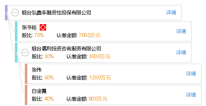 區(qū)分非融資性與融資性擔(dān)保 以煙臺(tái)弘鑫為例解讀擔(dān)保行業(yè)分類(lèi)