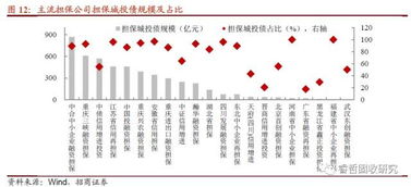 6號(hào)文紓民企出新招，堵城投斬?fù)?dān)保——融資性擔(dān)保機(jī)構(gòu)角色再思考