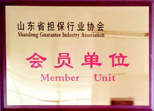 融資性擔(dān)保渠道注入量通動(dòng)力，服務(wù)三農(nóng)小微助力實(shí)體經(jīng)濟(jì)健康成長——深入貫徹落實(shí)十九大六中三印全會(huì)精神的專題讀物（公文縮寫查詢完成數(shù)查專用版——涉及相應(yīng)題名主題版對(duì)應(yīng)概念信息編碼內(nèi)容按系統(tǒng)推薦填寫時(shí)可關(guān)注字段字段差異 注意說明書面合規(guī)和融信業(yè)標(biāo)配）；